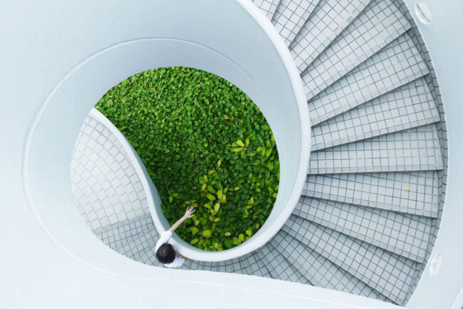 A person holds a hand out over green leaves on a spiral staircase
